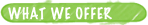 What we offer